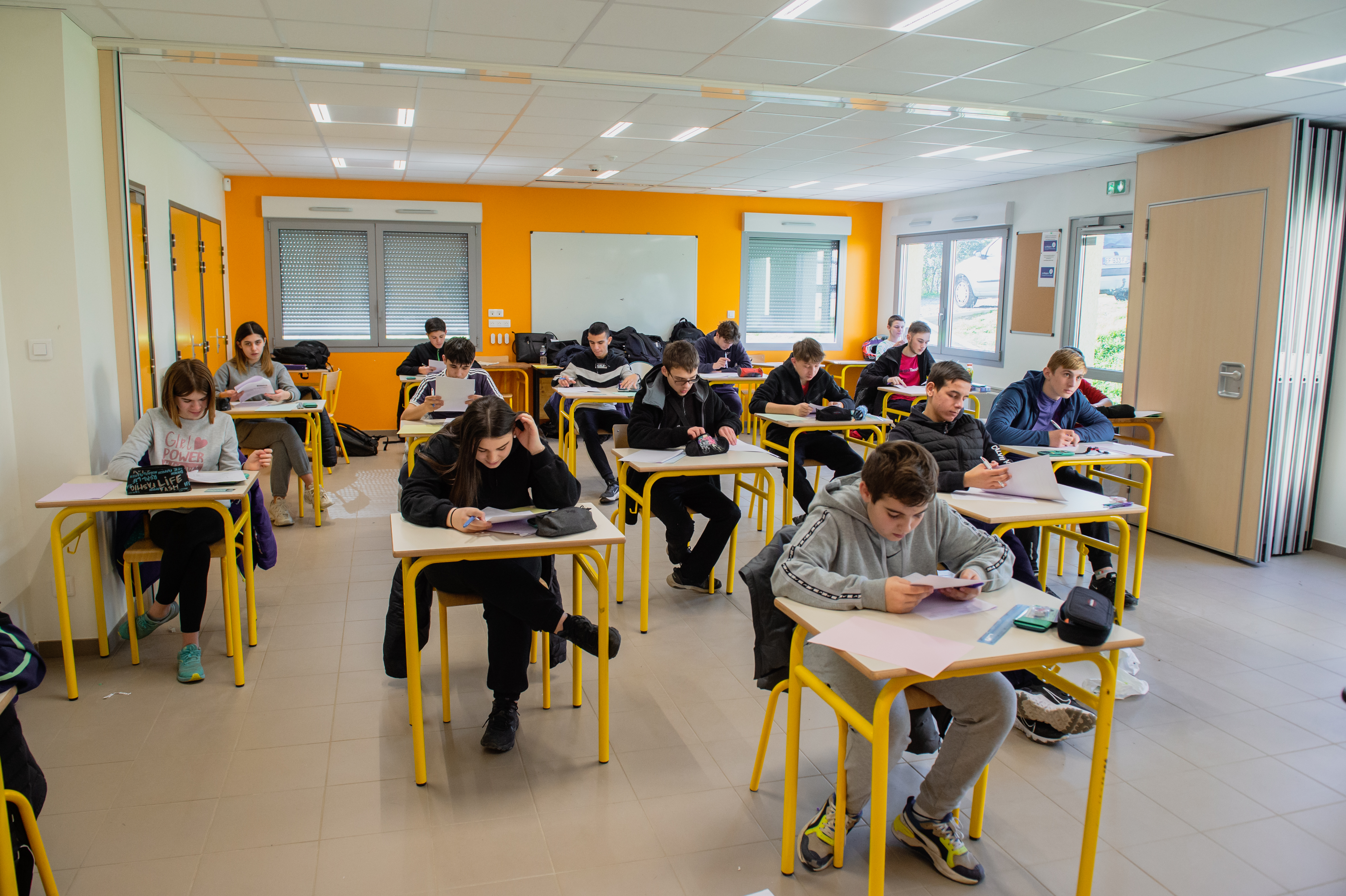 CAP,BACPRO,Lyon,Rhone,Paysage,Jardinier,Orientation,Elagage,Alternance,Arboriste,Paysager,Paysagiste,4ème,3ème,apprentissage,stage,lycée,collège